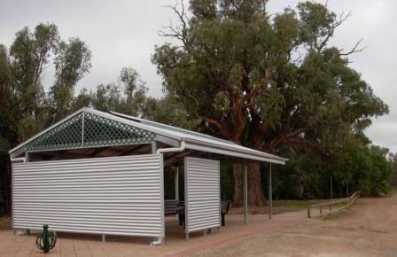 Giant Gum Tree and Shelter 1