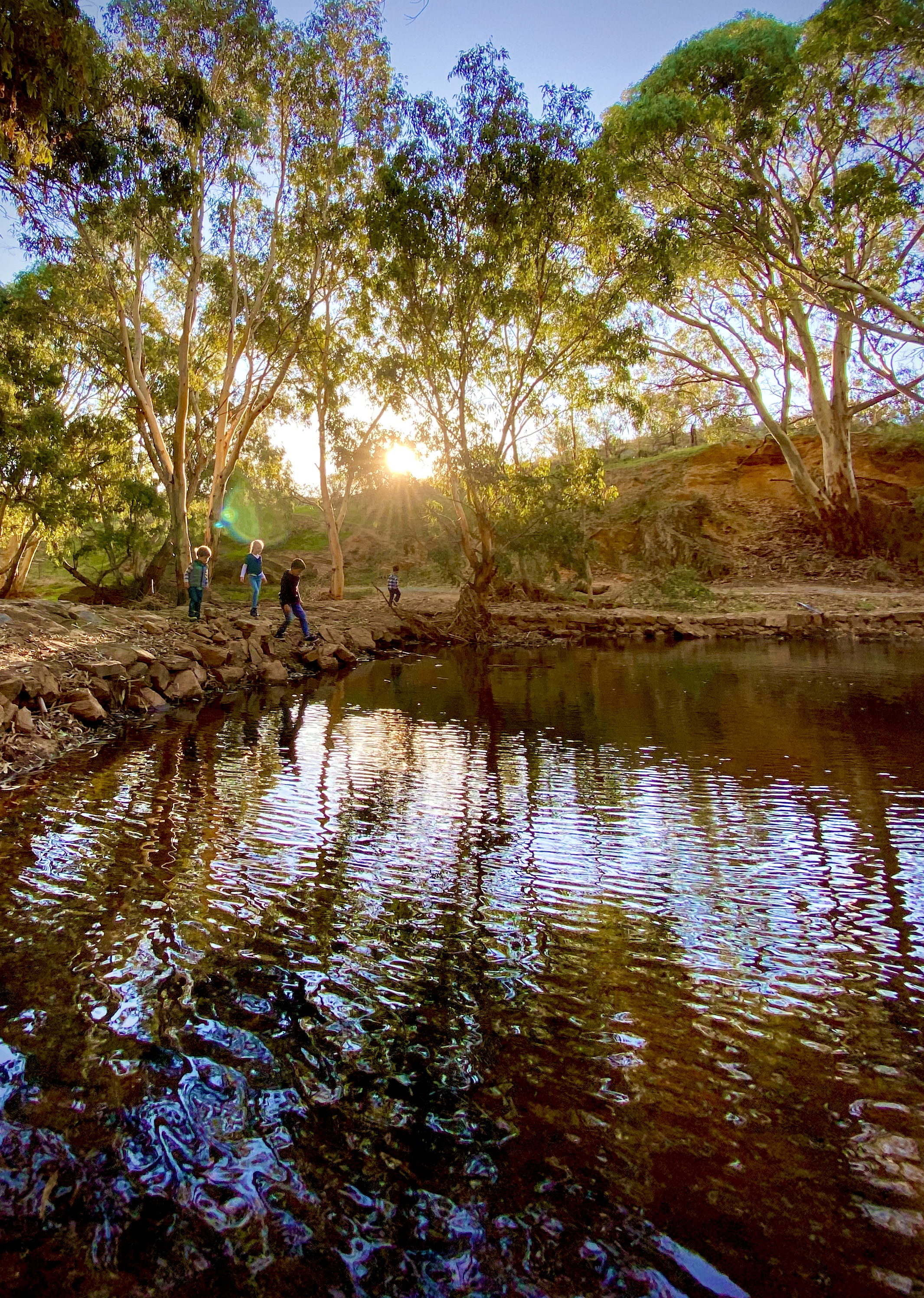 Lions Park 1